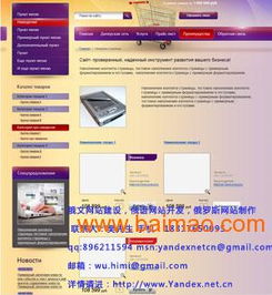 綏芬河俄羅斯跨境電商網站開發 功能全面、后臺管理高效、價格透明的整體解決方案